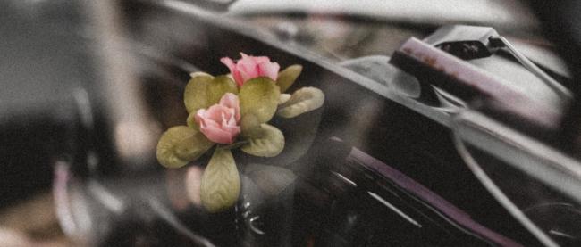 Freiluft-Gottesdienst mit Autosegnung